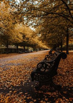 a park bench sitting in the middle of a leaf covered path with trees lining both sides