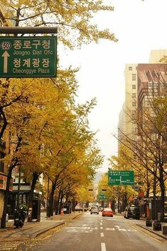 an empty street in the middle of a city with tall buildings and trees lining both sides