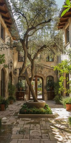 an outdoor courtyard with trees and potted plants on either side of the entryway