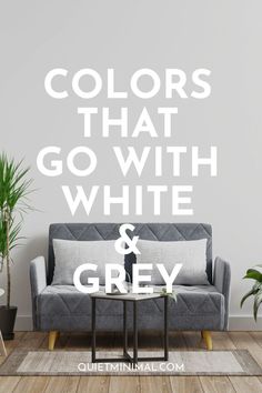 a grey couch sitting in front of a white wall with the words colors that go with white and grey