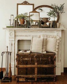 an old trunk sitting in front of a fireplace with plants on top and other items around it