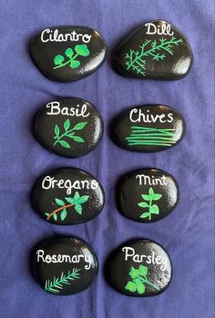 six rocks with different plants painted on them and the words basil, chives, mint, rosemary