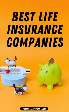 Best Life insurance Companies