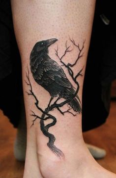 a black bird sitting on top of a tree branch with a snake crawling through it