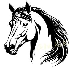 a horse's head with long manes and black lines on the face,