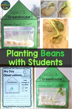 plants with students in their homes and the words planting beans with students written on them