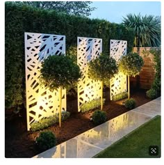 an outdoor garden with trees and bushes lit up at night, along side a walkway