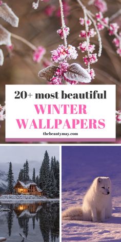 the top 20 most beautiful winter wallpapers