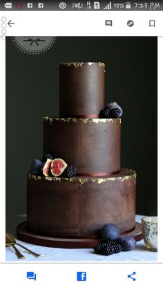 a three tiered chocolate cake with figs on top