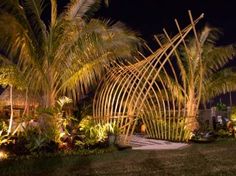 a garden with palm trees and lights at night