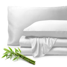 an image of a bamboo plant next to pillows and sheets on a white bedding set