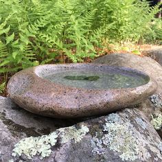 a stone bowl sitting on top of a rock next to green plants and trees in the background