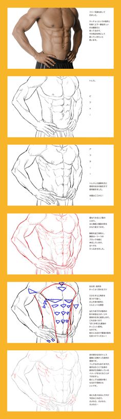 how to draw the human body for beginners