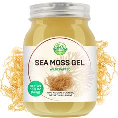 a jar of sea moss gel on a white background