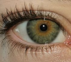 Eyes Color, Photos Of Eyes, Future Family, Hazel Eyes, Pretty Eyes