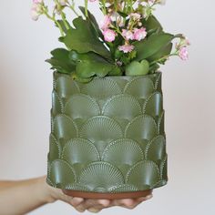 a hand holding a green planter with pink flowers