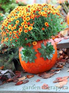 a pumpkin planter filled with yellow flowers