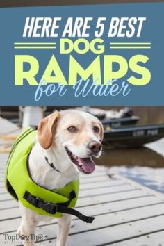 there are 5 best dog ramps for water in this article, you'll have to check out