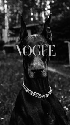 a black and white photo of a dog with the word voge on it