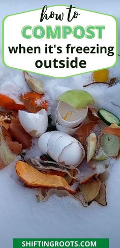 Compost in a pile of snow--egg shells, cucumber, orange peels, and onions. Composting In Winter, Winter Compost, Winter Composting, Compost Bin Ideas, Outdoor Compost Bin, Best Compost Bin, Making A Compost Bin, How To Compost, Compost Bins