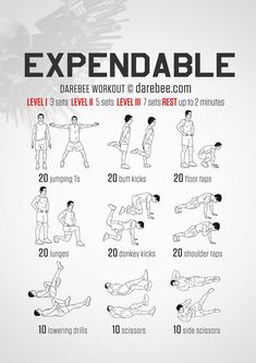 an exercise poster showing how to do the same exercises for each individual body and shoulders