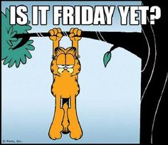 an orange cat hanging upside down from a tree with the caption is it friday yet?