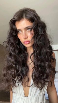 Haircut Reference Medium, Curly Hair Layers With Curtain Bangs, Brunette Permed Hair, Curtain Bangs On Curly Hair Long, Long Haircuts For Fine Curly Hair, Wavy Curly Hair Aesthetic, Curly Face Claim, Loose Curly Hairstyles, Brushed Out Waves