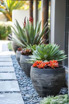 three large potted plants sitting next to each other on a stone walkway in front of a house