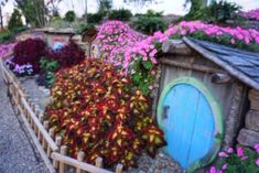 the garden is full of colorful flowers and hobbooms, including pink geranias