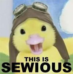 a yellow stuffed animal wearing a brown hat and glasses with the words sewious on it