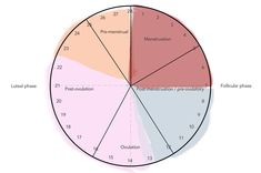 Menstrual Cycle Phases Discharge, Cycle Tracking Birth Control, Menstrual Cycle Energy Level, Menstrual Cycle Phases Explained, Women’s Menstrual Cycle, Fertility Awareness