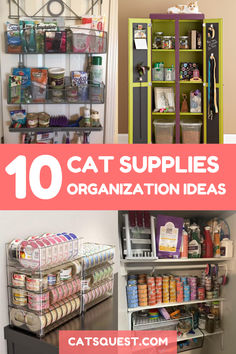 the top ten cat supplies organization ideas