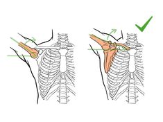 an image of a diagram of the back and shoulder muscles with arrows pointing to each other