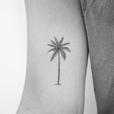 a small palm tree tattoo on the arm