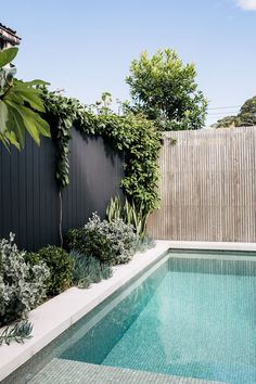 an outdoor swimming pool surrounded by greenery next to a fenced in backyard area