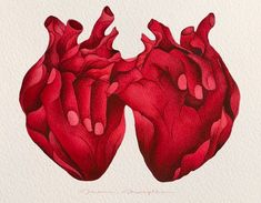 a drawing of two red hearts on a white background