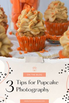 three cupcakes with frosting on top and the title overlay reads, 3 tips for pupcake photography