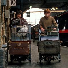 two people are pulling luggage with birds in cages on the trolleys and one man is holding a birdcage