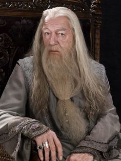 Can We Guess Your Favorite "Harry Potter" Character? #quiz #quizzes #buzzfeed  #triviaquestionsandanswers #quizzesbuzzfeed #trivia #quizzesforfun #funquiz #harry #harrypotter Film Harry Potter, Michael Gambon, Fleur Delacour, Atticus Finch, Cho Chang, Gellert Grindelwald, Images Harry Potter, Bonnie Wright, Bellatrix Lestrange