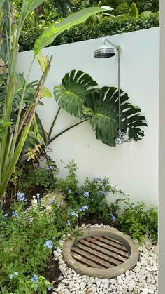 a shower head in the middle of a garden with plants and rocks around it, next to a white wall