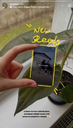 a person holding up a plant in front of a window with the words new seeds on it