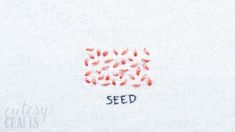 the word seed written in red ink on a white linen background with small orange seeds