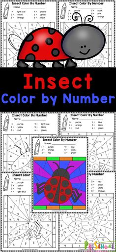 the insect color by number worksheet