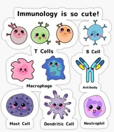 stickers with different types of cell phones and text that says immunlogy is so cute