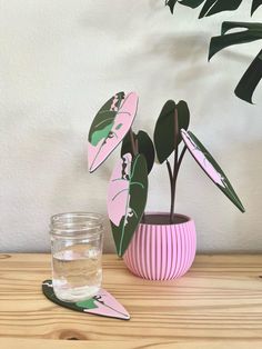 a potted plant sitting on top of a wooden table next to a jar filled with water