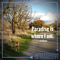 a dog walking down a dirt road next to a tree and grass covered field with the words paradise is where i am