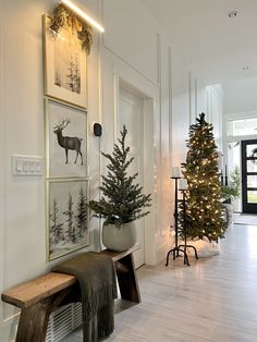 there is a christmas tree in the corner of this room with pictures on the wall