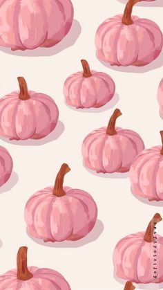 many pink pumpkins on a white background