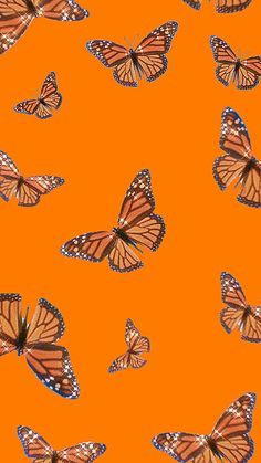 an orange background with many butterflies flying in the air and on top of each other