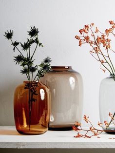 three vases with flowers in them sitting on a shelf next to each other,